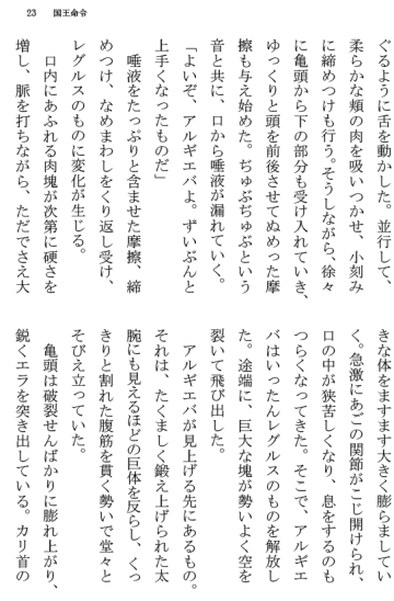 [Terujirou] Kokuou Meirei Fhentai - Page 23