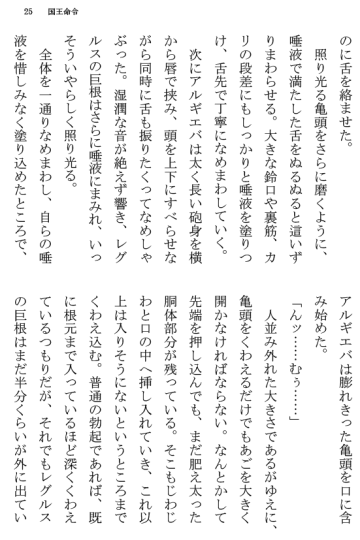 [Terujirou] Kokuou Meirei Fhentai - Page 25