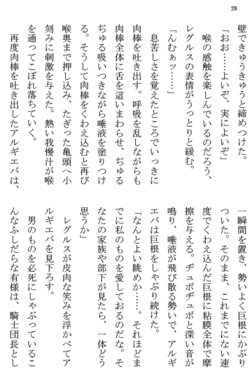 [Terujirou] Kokuou Meirei Fhentai - Page 28