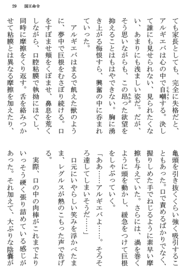 [Terujirou] Kokuou Meirei Fhentai - Page 29
