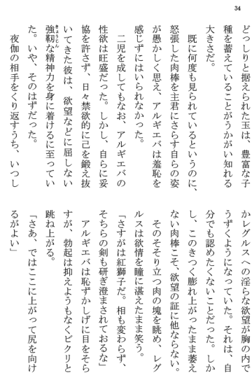 [Terujirou] Kokuou Meirei Fhentai - Page 34