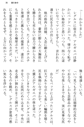 [Terujirou] Kokuou Meirei Fhentai - Page 35