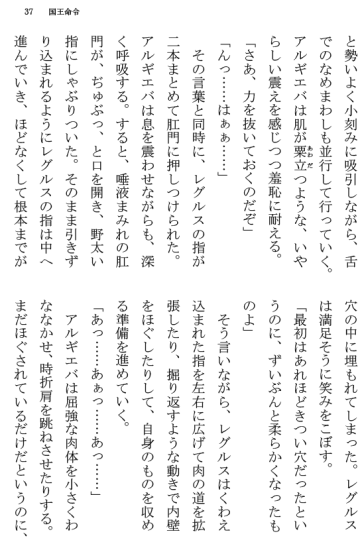 [Terujirou] Kokuou Meirei Fhentai - Page 37