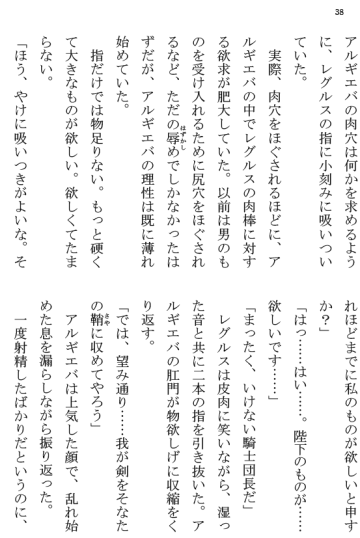 [Terujirou] Kokuou Meirei Fhentai - Page 38