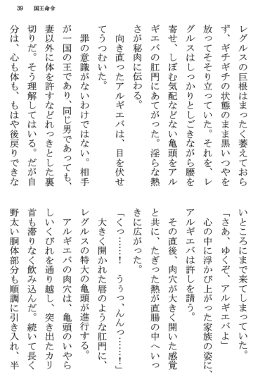 [Terujirou] Kokuou Meirei Fhentai - Page 39