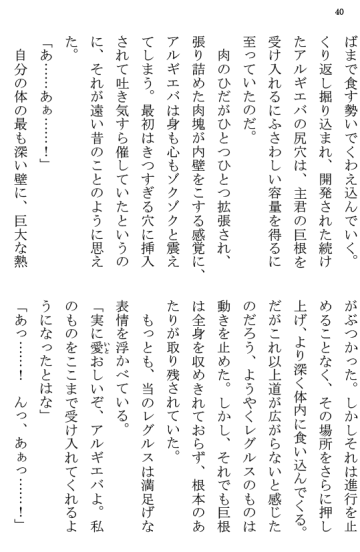 [Terujirou] Kokuou Meirei Fhentai - Page 40