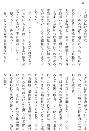 [Terujirou] Kokuou Meirei Fhentai - Page 44