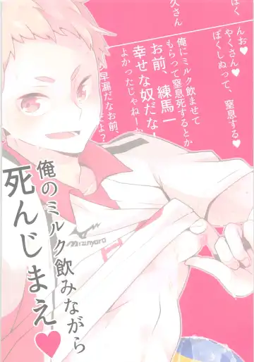 [Magurono Yukinao] Nerima Ku Ichi Shiawasena Otoko no Hanashi Fhentai - Page 42