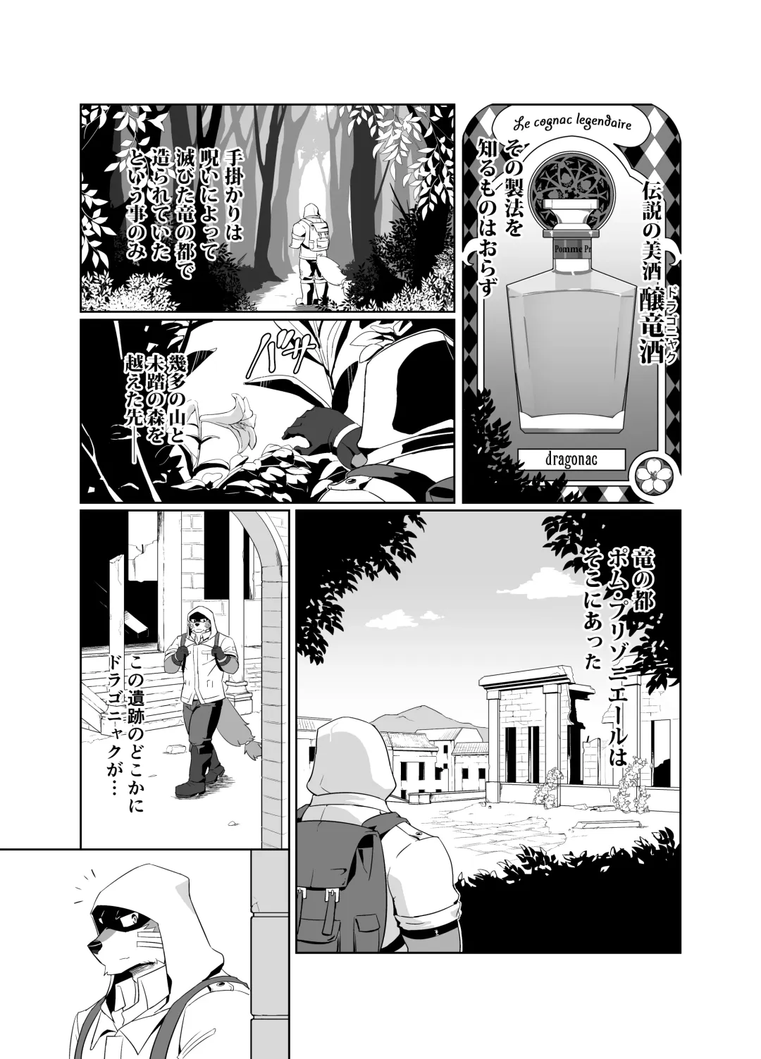 [Tsukigata Rossi] Pomme Prisonniere no Dragonac Fhentai - Page 4