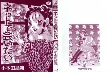 [Komotoda Emai] Net de Aitai Fhentai - Page 6