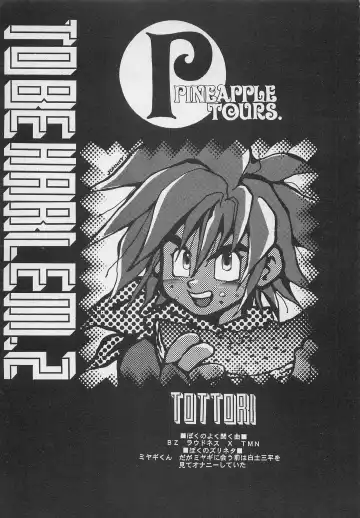 [Charlie Kinjou Chaplin - Johnny] Harem Yarou 2 Fhentai - Page 6