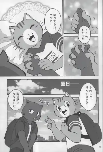 [Kajitsu] Motto Kagayake! Onii-san Fhentai - Page 14