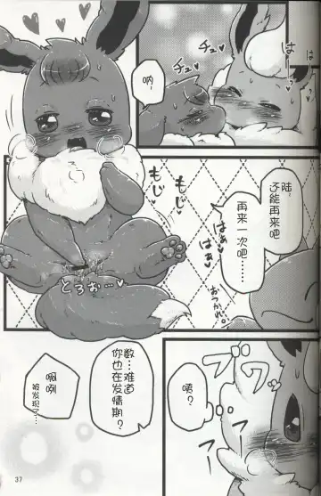 [Ashitani Yukihisa - Negoya] EeveeROlution 3 Fhentai - Page 36