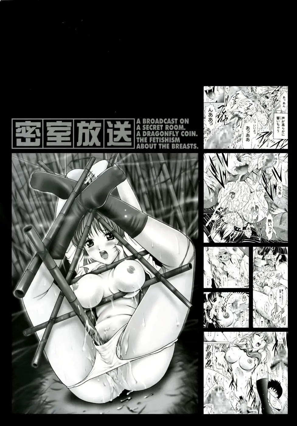 [Naga] Misshitsu Housou - A Broadcast on a Secret Room Fhentai - Page 4