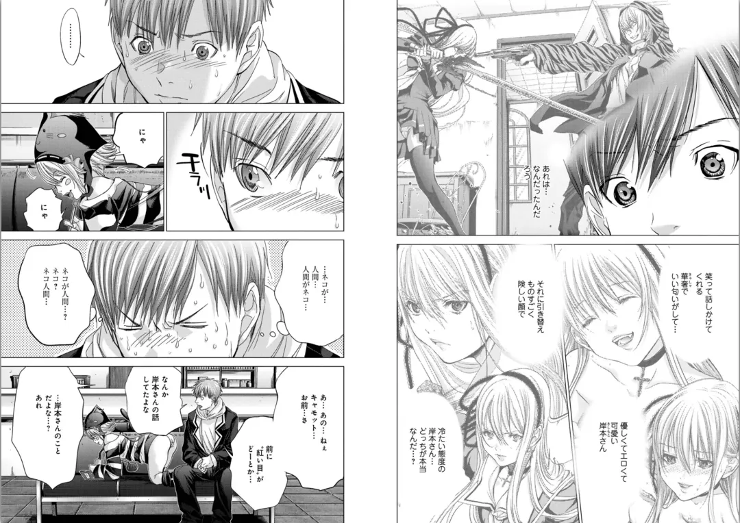 [Miyazaki Maya] Holy Knight ~Junketsu to Ai no Hazama de~ Vol. 5 Fhentai - Page 29