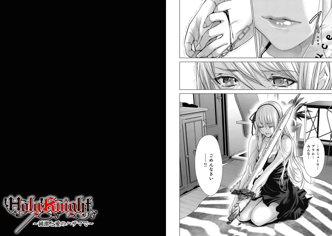 [Miyazaki Maya] Holy Knight ~Junketsu to Ai no Hazama de~ Vol. 7 Fhentai - Page 12