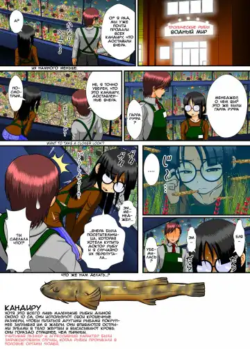 Chitsu Hakai-kei Joshi 4 Fhentai - Page 12