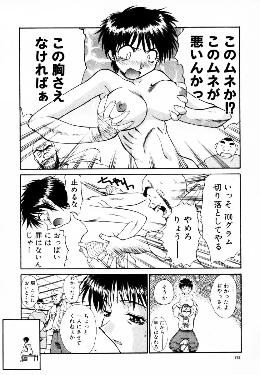 [Itaba Hiroshi] SAMPLE Fhentai - Page 173