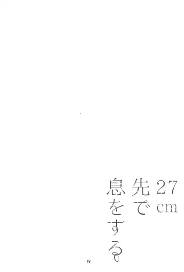 [Sayaka] 27cm Saki de Iki o Suru Fhentai - Page 17