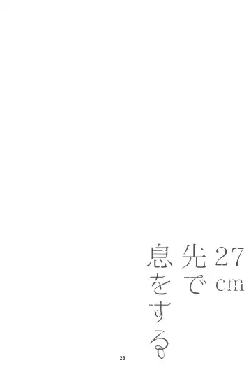 [Sayaka] 27cm Saki de Iki o Suru Fhentai - Page 27