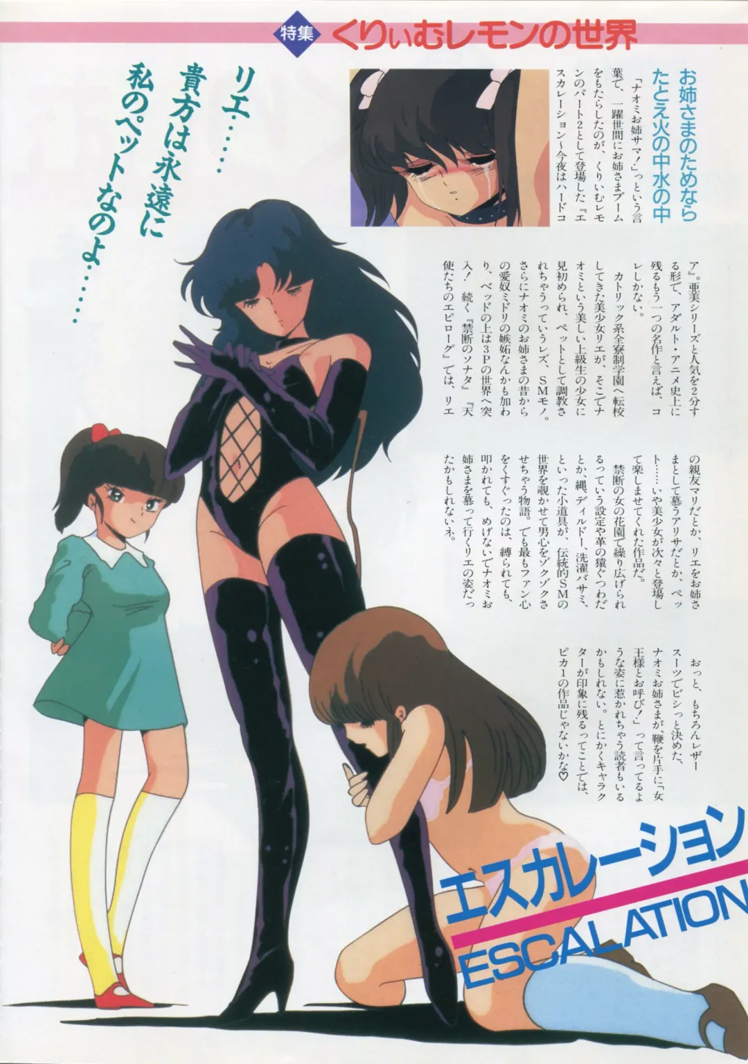 [Kazuneko - Nekojima Lei - Yamamoto Naoki] Bishoujo Anime Daizenshuu - Adult Animation Video Catalog 1991 Fhentai - Page 14