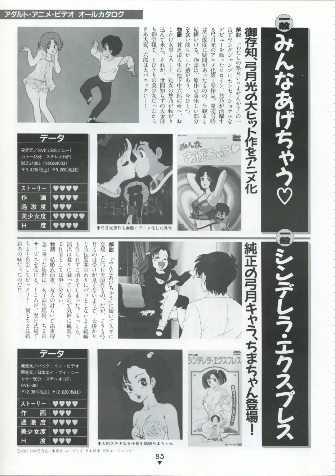 [Kazuneko - Nekojima Lei - Yamamoto Naoki] Bishoujo Anime Daizenshuu - Adult Animation Video Catalog 1991 Fhentai - Page 81