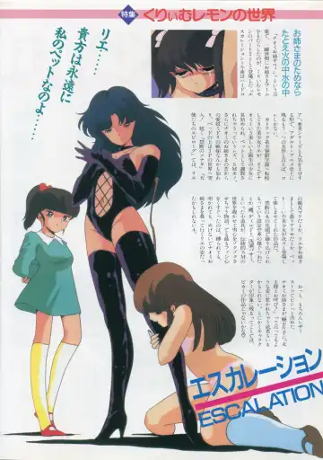 [Kazuneko - Nekojima Lei - Yamamoto Naoki] Bishoujo Anime Daizenshuu - Adult Animation Video Catalog 1991 Fhentai - Page 14