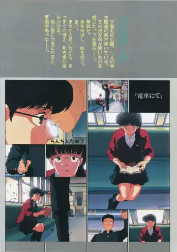 [Kazuneko - Nekojima Lei - Yamamoto Naoki] Bishoujo Anime Daizenshuu - Adult Animation Video Catalog 1991 Fhentai - Page 22