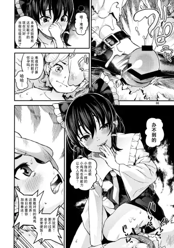 [Chuusuu Kairo] Gensoukyou no H na Himitsu Fhentai - Page 7
