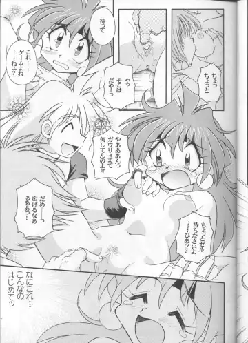 [J.sairo] Slayers Parody 3 Fhentai - Page 17