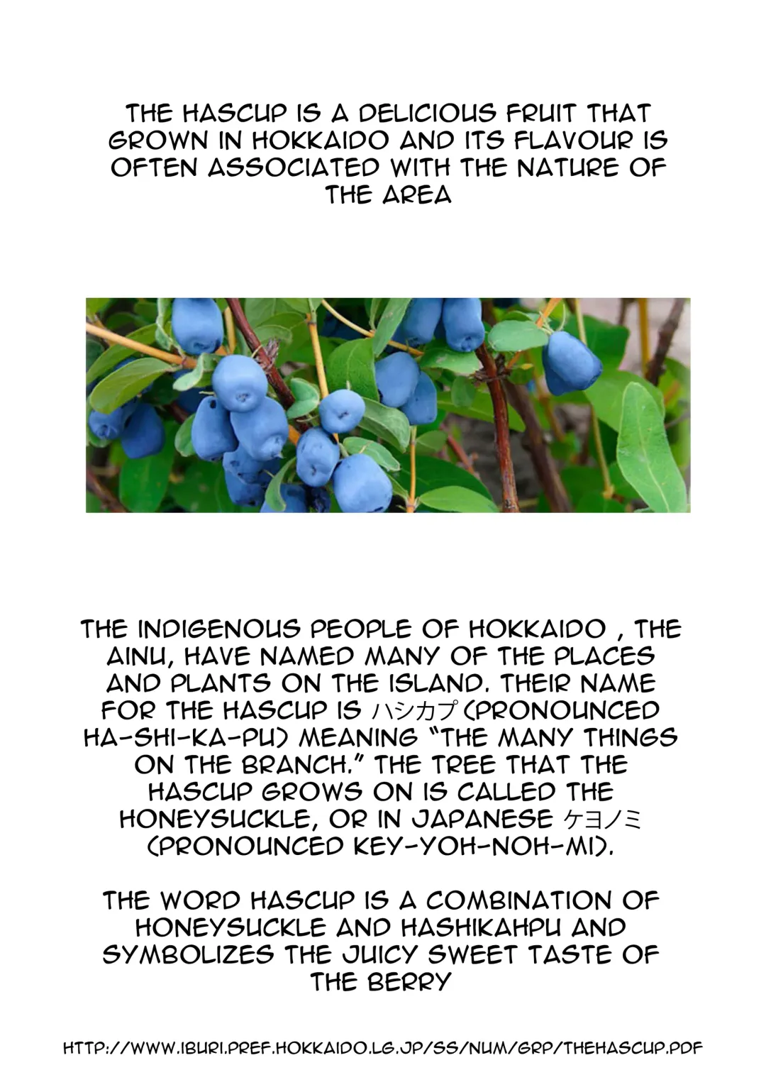 [Kyougoku Shin] Hascup Fhentai - Page 31