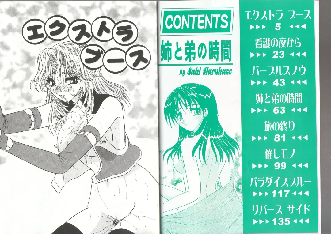 [Harukaze Saki] Ane to Otouto no Jikan Fhentai - Page 3