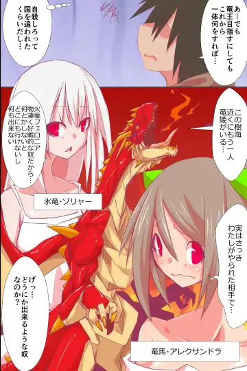 [Kuroie] Ishu Haramase Harem ~Bijo Ryuuki-tachi o Yarimakutte Zenin Ore Yomeka!!~ Fhentai - Page 21