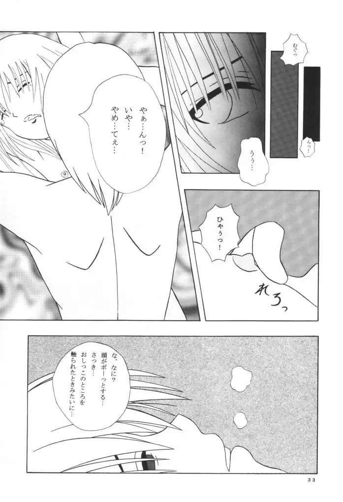 [Hotaruri - Pino] Jouyou Nigou - The Addictive II Fhentai - Page 32