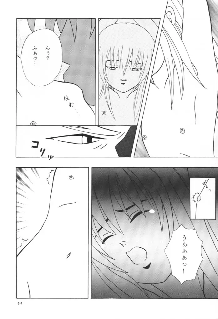 [Hotaruri - Pino] Jouyou Nigou - The Addictive II Fhentai - Page 33