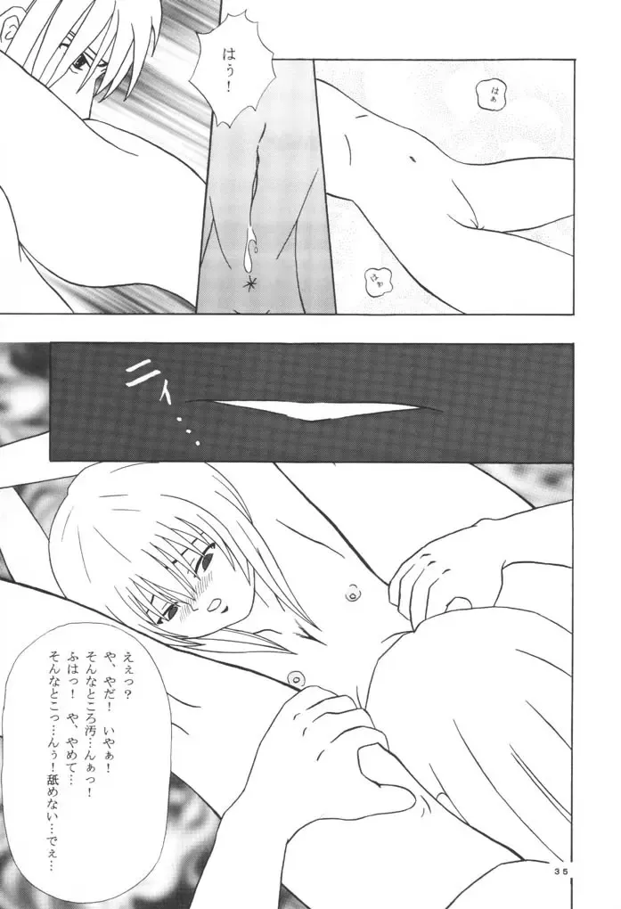 [Hotaruri - Pino] Jouyou Nigou - The Addictive II Fhentai - Page 34