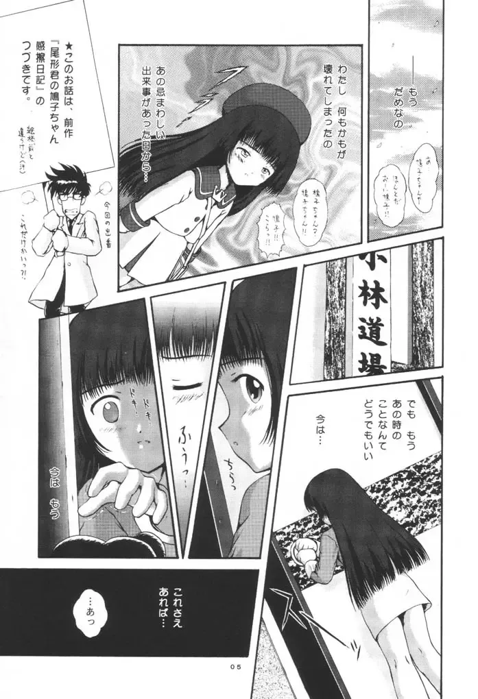 [Hotaruri - Pino] Jouyou Nigou - The Addictive II Fhentai - Page 4