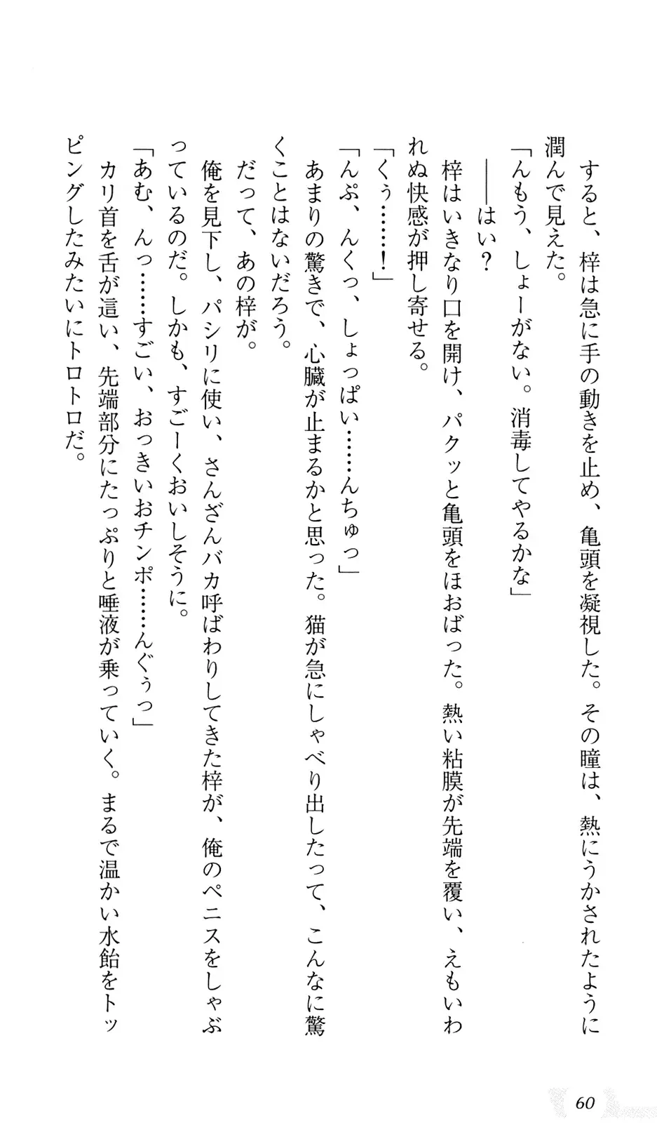 [Sin-go] Shimai Jiru Fhentai - Page 64