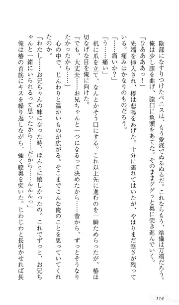 [Sin-go] Shimai Jiru Fhentai - Page 118