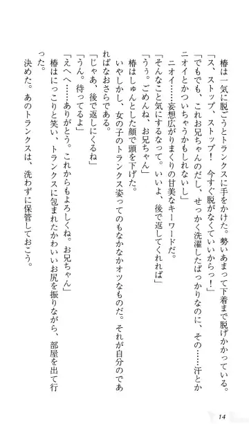 [Sin-go] Shimai Jiru Fhentai - Page 18