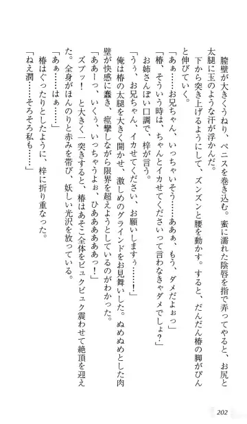 [Sin-go] Shimai Jiru Fhentai - Page 206