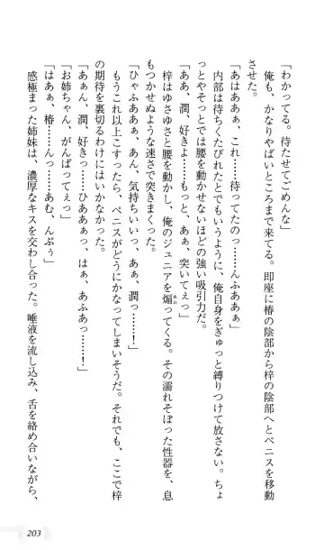 [Sin-go] Shimai Jiru Fhentai - Page 207