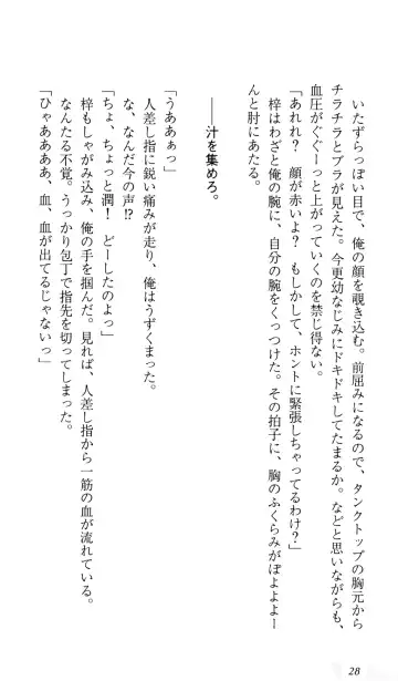 [Sin-go] Shimai Jiru Fhentai - Page 32