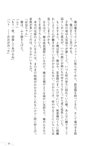 [Sin-go] Shimai Jiru Fhentai - Page 39