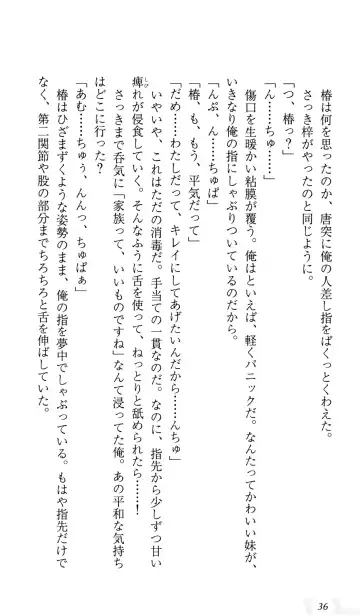 [Sin-go] Shimai Jiru Fhentai - Page 40