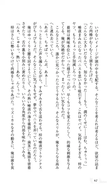 [Sin-go] Shimai Jiru Fhentai - Page 66