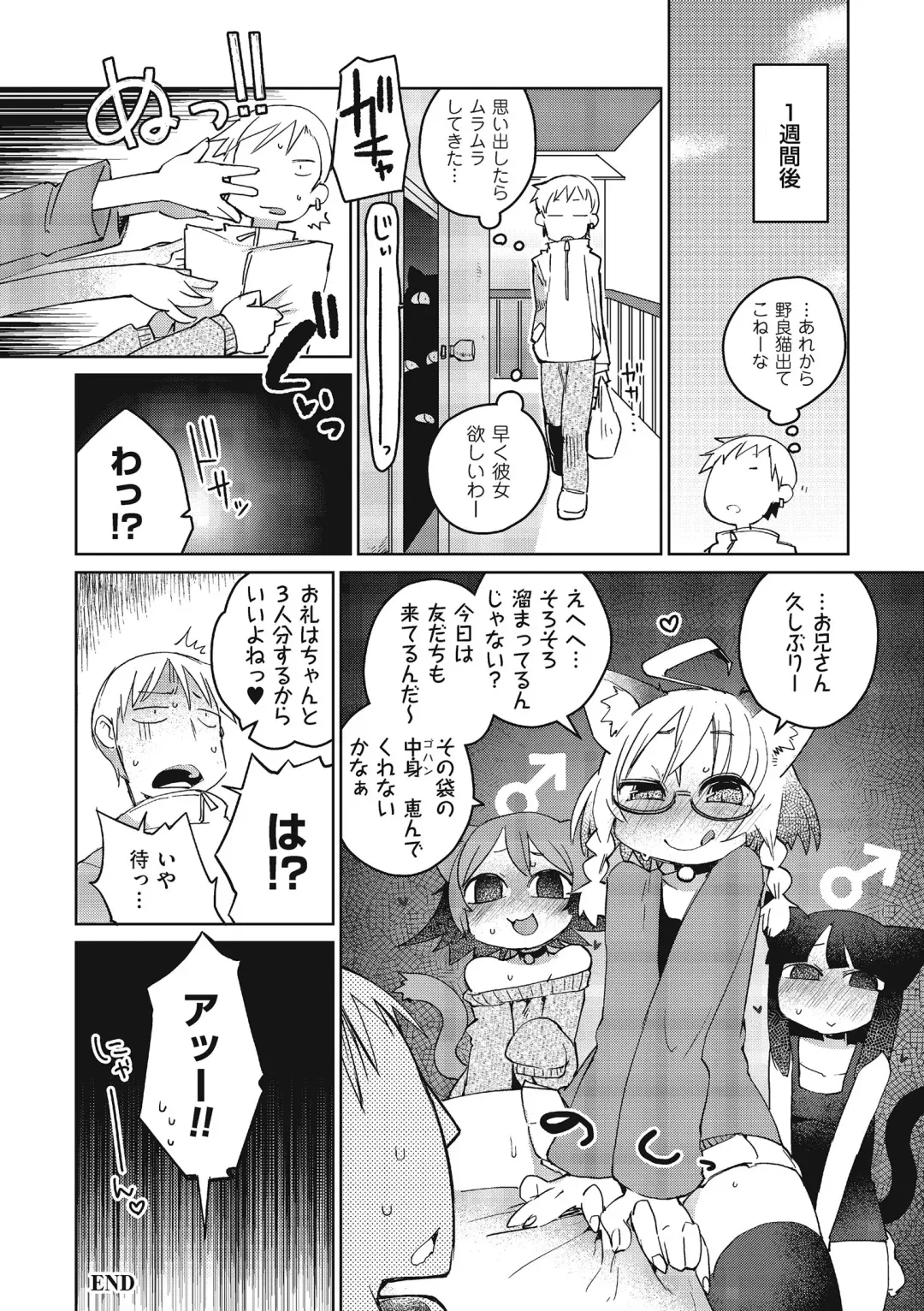 [Masha] Mix Cat Fhentai - Page 16