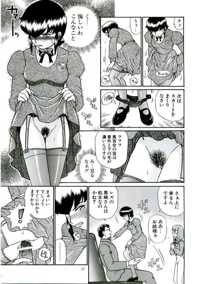 [Irie Yamazaki] ANGEL FILE HIGH SCHOOL Fhentai - Page 33