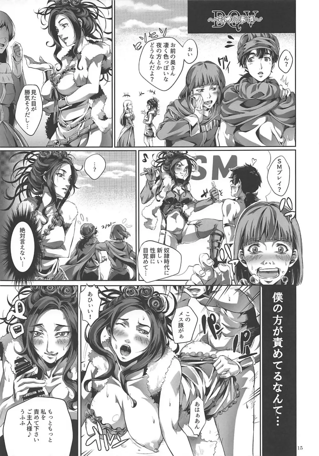 [Karamai] DQ Completion Fhentai - Page 14