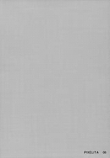 [Itsuki Kousuke] PixelitA 08 Fhentai - Page 3